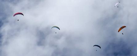 paragliders in the sky
